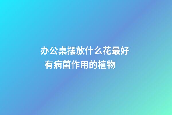 办公桌摆放什么花最好   有病菌作用的植物